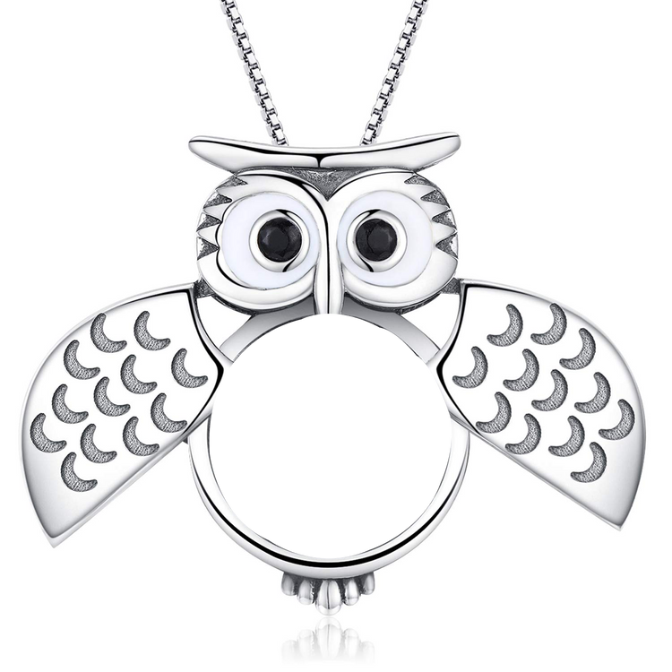 925 Sterling Silver Cute Wisdom Owl Round Photo Locket Necklace